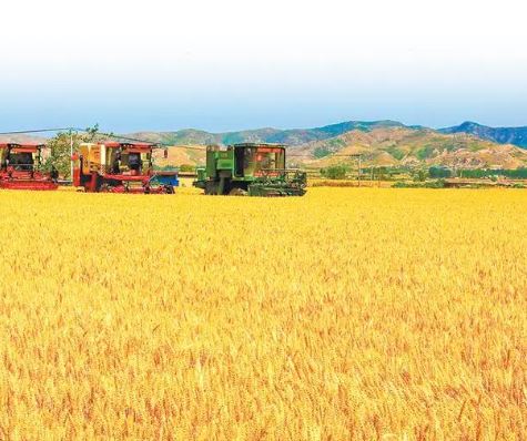 朝着建设农业强国目标扎实迈进